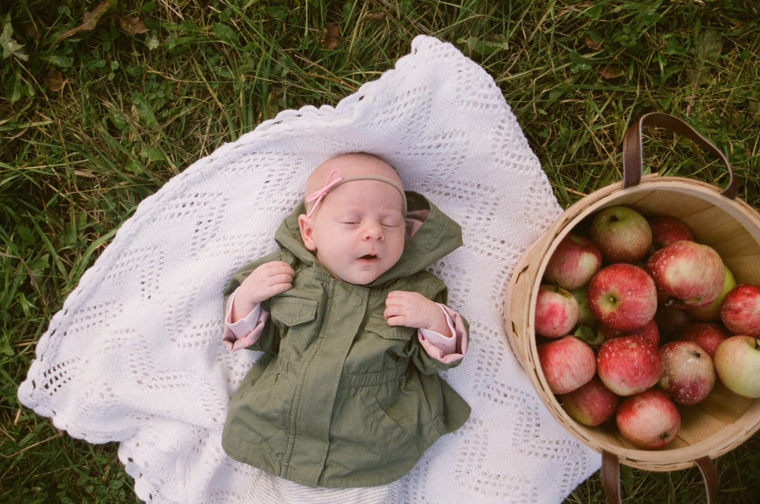 Newborn