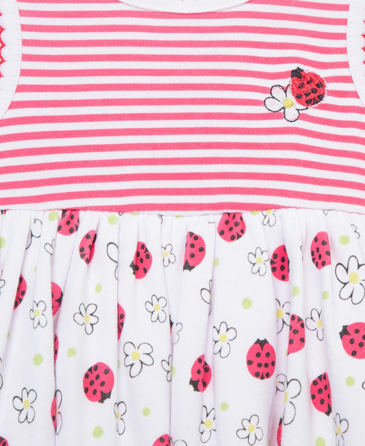 Ladybugs Popover & Hat