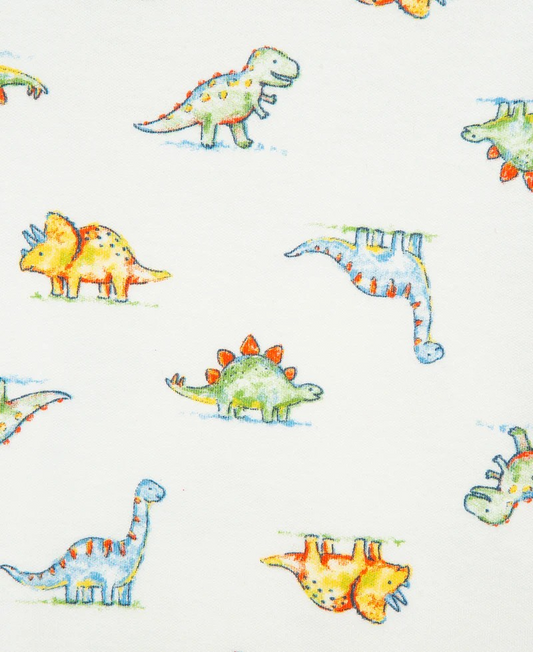 Dinomite Sleeper Gown & Hat