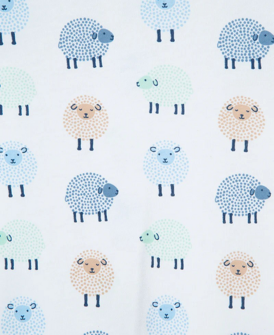 Little Lambs 2-Way-Zip Footed One-Piece & Hat