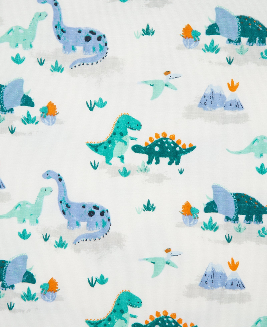 Dino 4-Piece Pajama Set